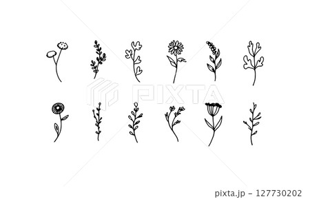 Fine Meadow Motifs. A set of small wildflowers and meadow elements in a clean line style, perfect for seamless patterns and elegant packaging. Fine Meadow Motifs. A set of small wildflowers and meadow elements in a clean line style, perfect for seamless patterns and elegant packaging. 127730202