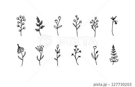 Vertical Flower Stems. A tall composition of hand-drawn flowers and thin stems, great for cards, posters, or pattern building. Vertical Flower Stems. A tall composition of hand-drawn flowers and thin stems, great for cards, posters, or pattern building. 127730203