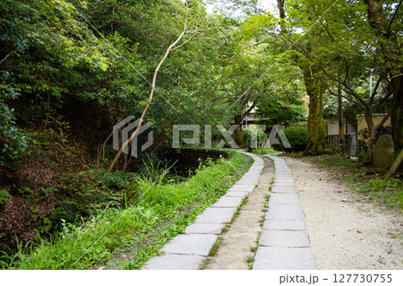 京都　哲学の道（左京区） 127730755