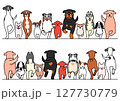 かわいい犬のボーダーセット 127730779