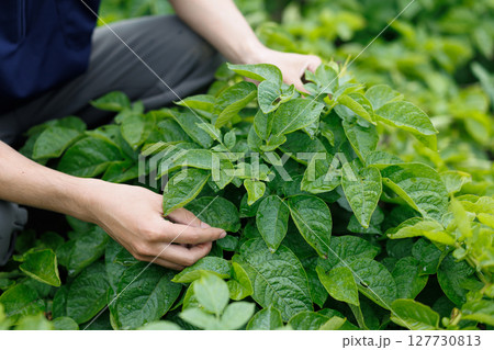 生育を調べる人 127730813