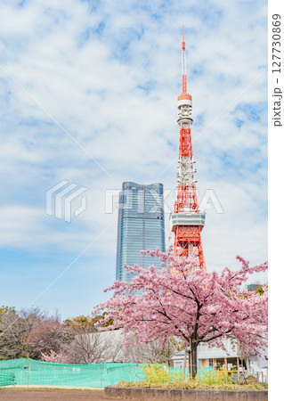 プリンス芝公園の河津桜と東京タワー プリンス芝公園の河津桜と東京タワー 127730869