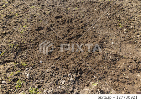 cultivated soil in a field, a part of the land that was cultivated and leveled using a garden tool cultivated soil in a field, a part of the land that was cultivated and leveled using a garden tool 127730921