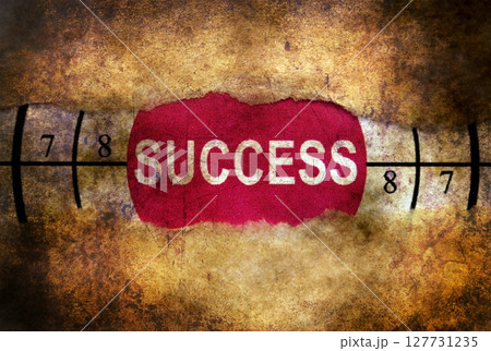 Success target grunge concept Success target grunge concept 127731235