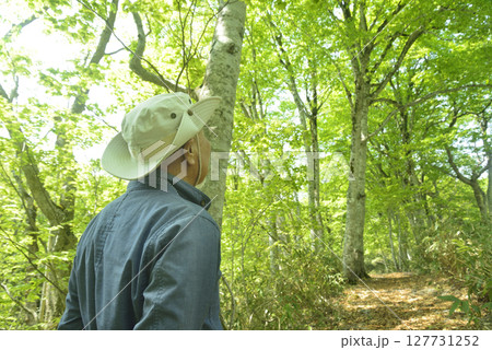 ブナ林で森林浴を楽しむ老人 127731252