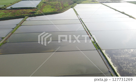 田植え後の水田と用水路をドローンで空撮 127731269