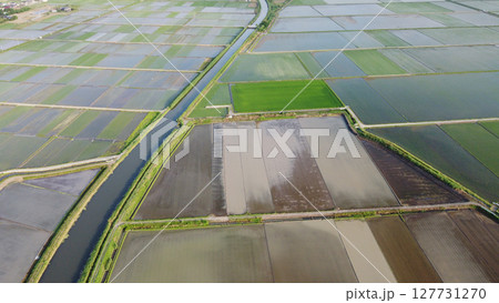 田植え後の水田と用水路をドローンで空撮 127731270