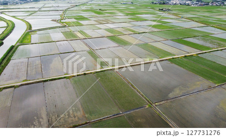 田植え後の水田と用水路をドローンで空撮 田植え後の水田と用水路をドローンで空撮 127731276