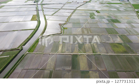 田植え後の水田に朝日反射をドローンで空撮 127731311