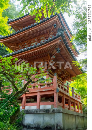 新緑に包まれた山門 新緑に包まれた山門 127731743