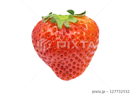 【苺】 (深度合成) 【苺】 (深度合成) 127732532