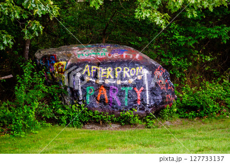 spirit rocks, which can be decorated by students, guardians and the school community. Find them outside of elementary, middle and high schools 127733137
