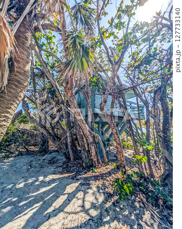 venice beach scenes in sunny florida 127733140
