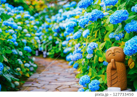 あじさいの参道のお地蔵様 127733450