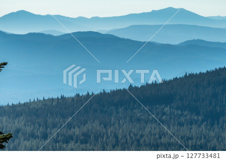 Shasta-Trinity National Forest and landscapes Shasta-Trinity National Forest and landscapes 127733481