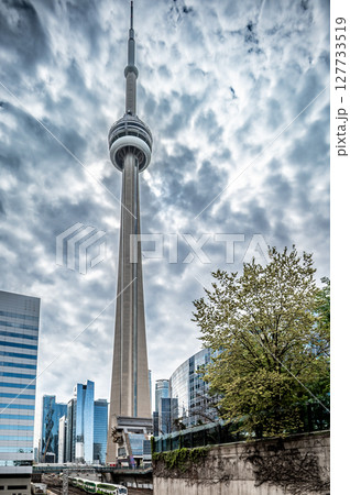 city of toronto skyline and street views 127733519