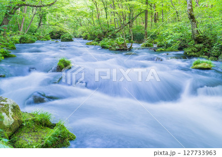 「青森県」初夏の奥入瀬渓流・三乱の流れ　十和田市 127733963