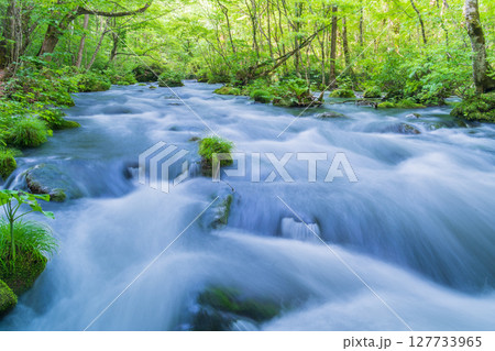 「青森県」初夏の奥入瀬渓流・三乱の流れ　十和田市 127733965
