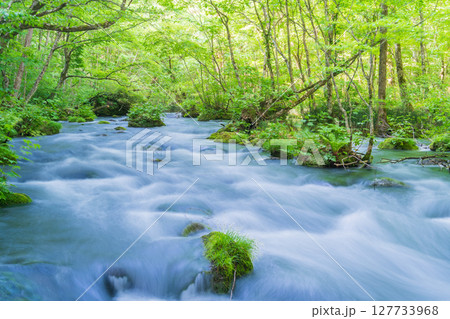 「青森県」初夏の奥入瀬渓流・三乱の流れ　十和田市 127733968