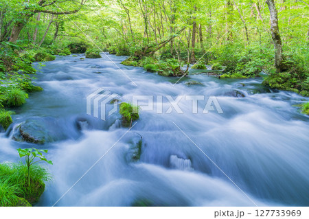 「青森県」初夏の奥入瀬渓流・三乱の流れ　十和田市 127733969