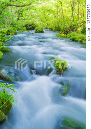 「青森県」初夏の奥入瀬渓流・三乱の流れ 十和田市 「青森県」初夏の奥入瀬渓流・三乱の流れ 十和田市 127733970