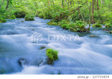 「青森県」初夏の奥入瀬渓流・三乱の流れ　十和田市 127733974