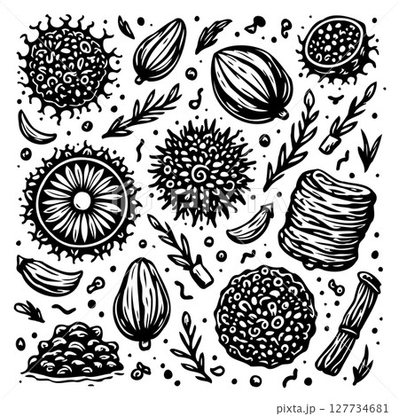 Exotic Spices and Herbs: A Hand-Drawn Collection for Culinary and Botanical Designs 127734681