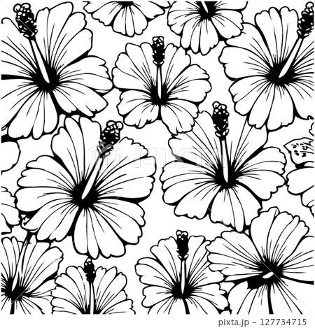 Elegant hibiscus flower pattern for backgrounds and design projects outline art Elegant hibiscus flower pattern for backgrounds and design projects outline art 127734715