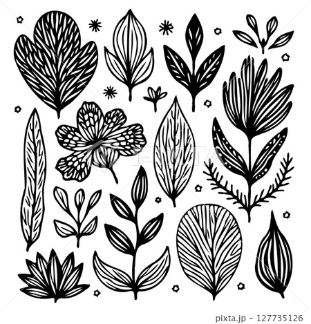Monochrome Floral Pattern Collection: Hand-Drawn Botanical Illustrations and Elements Monochrome Floral Pattern Collection: Hand-Drawn Botanical Illustrations and Elements 127735126