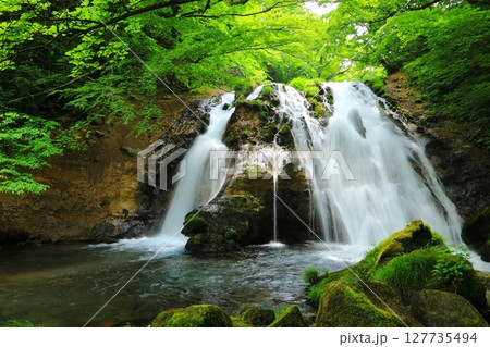 名水の滝(男池湧水・由布市) 名水の滝(男池湧水・由布市) 127735494