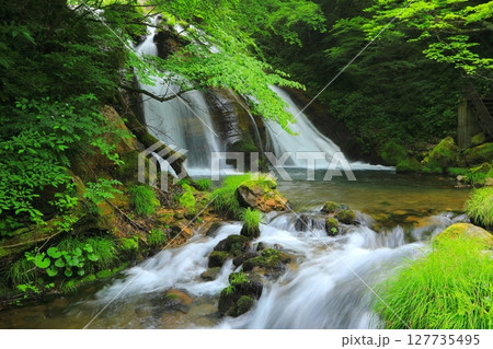名水の滝（男池湧水・由布市） 127735495