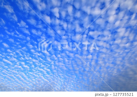 大空に広がる鱗雲（秋空イメージ） 127735521