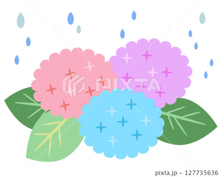紫陽花と雨　梅雨　ベクターイラスト 127735636