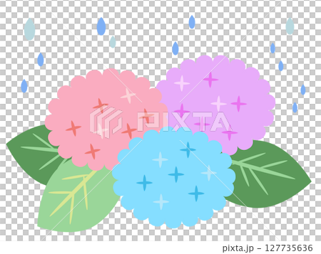 紫陽花と雨　梅雨　ベクターイラスト 127735636