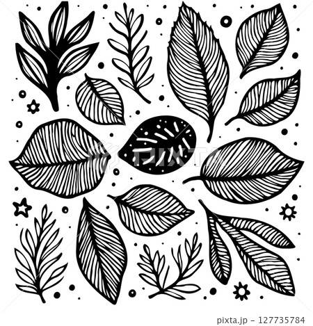 Elegant hand-drawn vector illustration of assorted leaves in minimalist style 127735784
