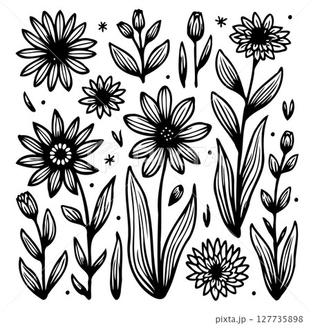 Elegant Black and White Floral Pattern Collection for Creative Projects and Design Elegant Black and White Floral Pattern Collection for Creative Projects and Design 127735898