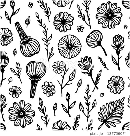 Elegant Floral Pattern: Black and White Botanical Vector Illustration for Creative Designs Elegant Floral Pattern: Black and White Botanical Vector Illustration for Creative Designs 127736074