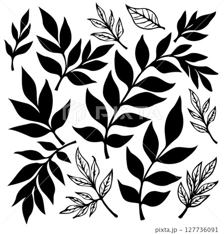 Elegant botanical silhouettes: A collection of minimalist leaf and branch illustrations 127736091