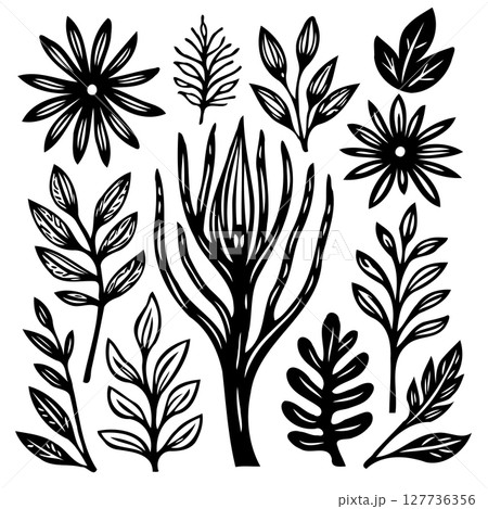 Black and white botanical illustrations featuring diverse floral and leaf designs 127736356