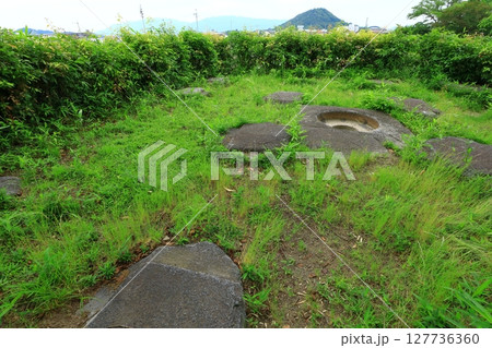 史跡本薬師寺跡 畝傍山と東塔礎石 史跡本薬師寺跡 畝傍山と東塔礎石 127736360