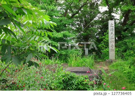史跡本薬師寺跡　 127736405
