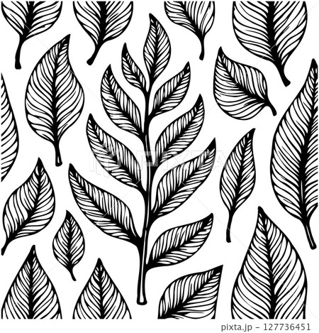 Hand-Drawn Leaves Pattern with Black and White Illustration for Natural Designs 127736451