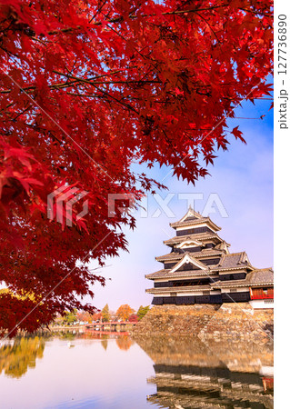 日本の風景　紅葉の松本城 127736890