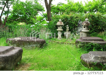 史跡本薬師寺跡　金堂礎石 127737115