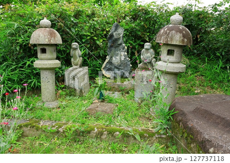 史跡本薬師寺跡　金堂礎石 127737118
