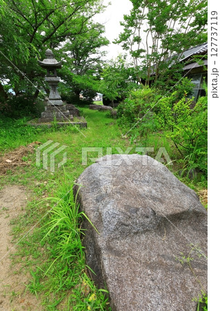 史跡本薬師寺跡　金堂礎石 127737119