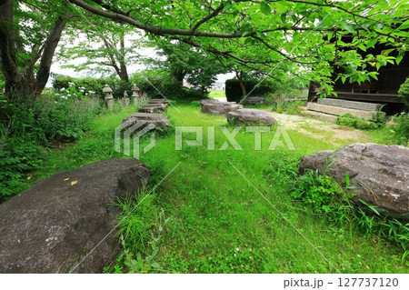 史跡本薬師寺跡 金堂礎石 史跡本薬師寺跡 金堂礎石 127737120
