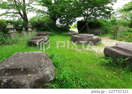 史跡本薬師寺跡　金堂礎石 127737121