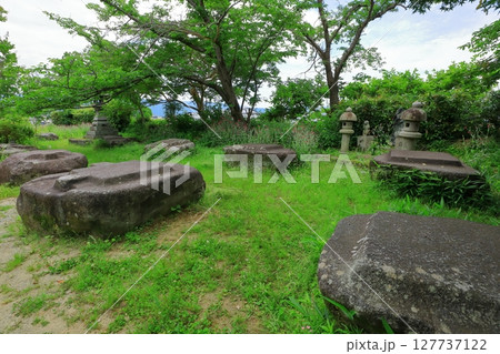 史跡本薬師寺跡　金堂礎石 127737122