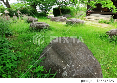 史跡本薬師寺跡　金堂礎石 127737125